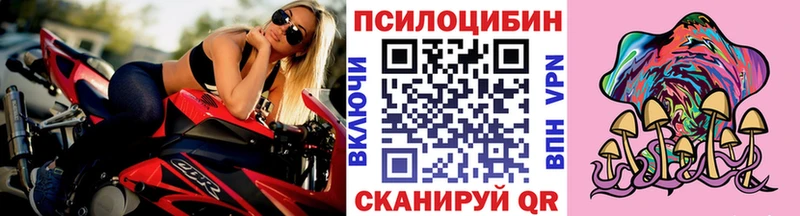 Купить где  Гусь-Хрустальный  Псилоцибиновые грибы Cubensis 